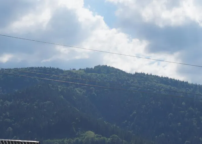 Hébergement de vacances Dobryi Hutsul
